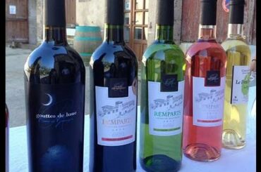 French Wine Discoveries London 2016 - Part 3