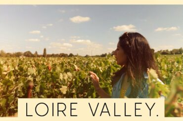 LEARNING HOW TO TASTE WINE IN FRANCE! & Why You Should Spit It Out