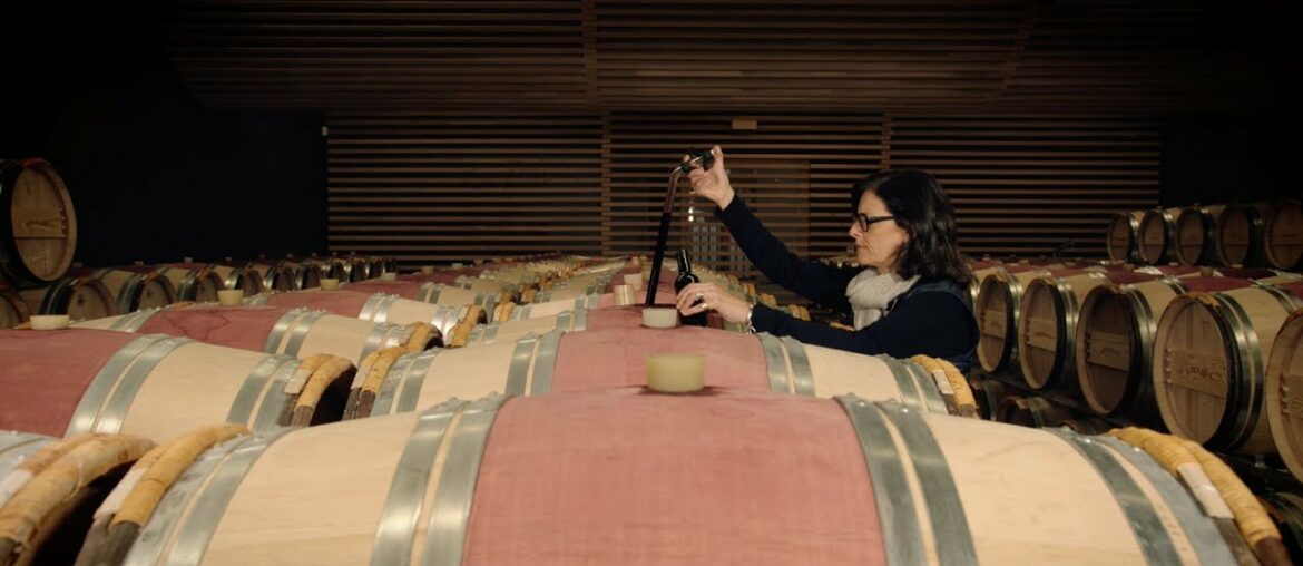 Wine Masters Trailer Season 1: France