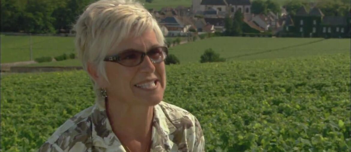 Burgundy, France: The Wine of the Côte d'Or