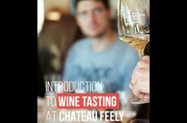 Visit French Wine - The Bergerac vineyard