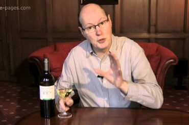 Château Bauduc, Bordeaux Sauvignon Blanc 2010, France, wine review