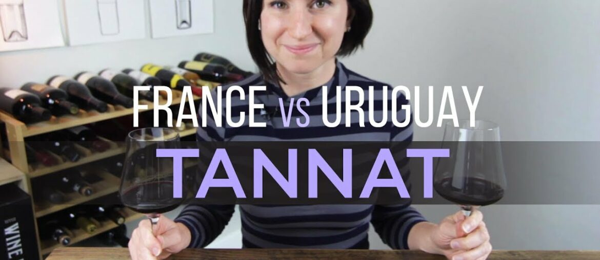 France vs Uruguay Tannat Wine