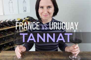 France vs Uruguay Tannat Wine