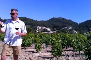Gigondas Red Wine Blends Southern Rhone, France - Know Wine In No Time