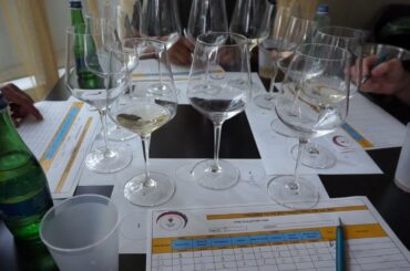 6th Best French Wines For The USA Challenge