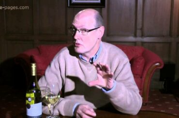 Blason de Bourgogne, St Veran 2010, France, wine review