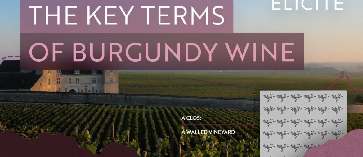 Burgundy Wine Terminology Burgundy Wine Terminology