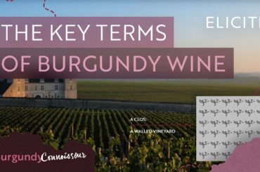 Burgundy Wine Terminology