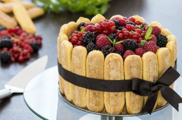 Berry Charlotte Cake Recipe