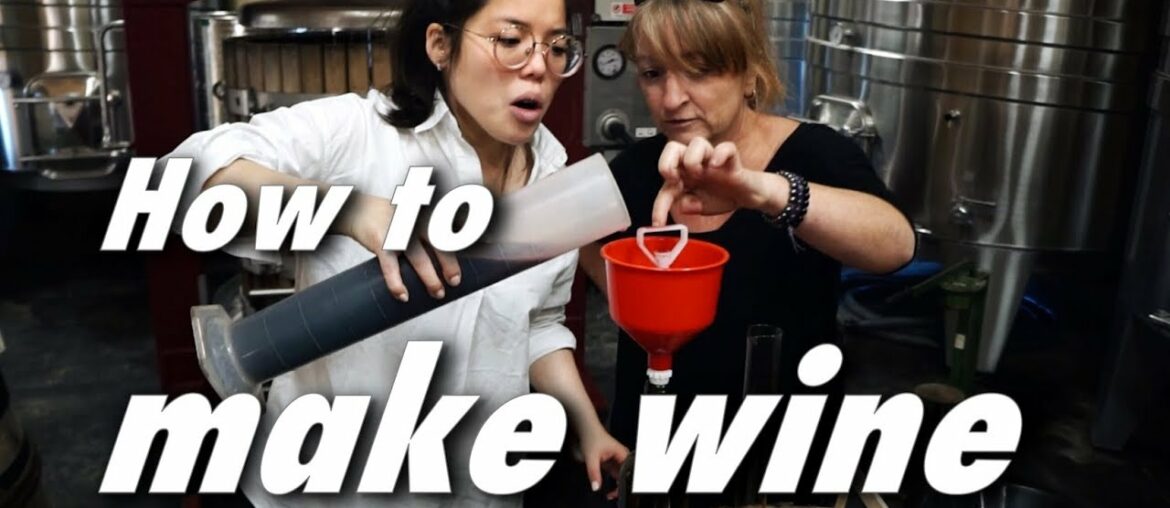 How to MAKE WINE in FRANCE 🍷Merlot? Cabernet Sauvignon? How to MAKE WINE in FRANCE 🍷Merlot? Cabernet Sauvignon?