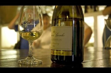 Chablis France • Chablis Wine Tasting in the Burgundy Wine Region | European Waterways