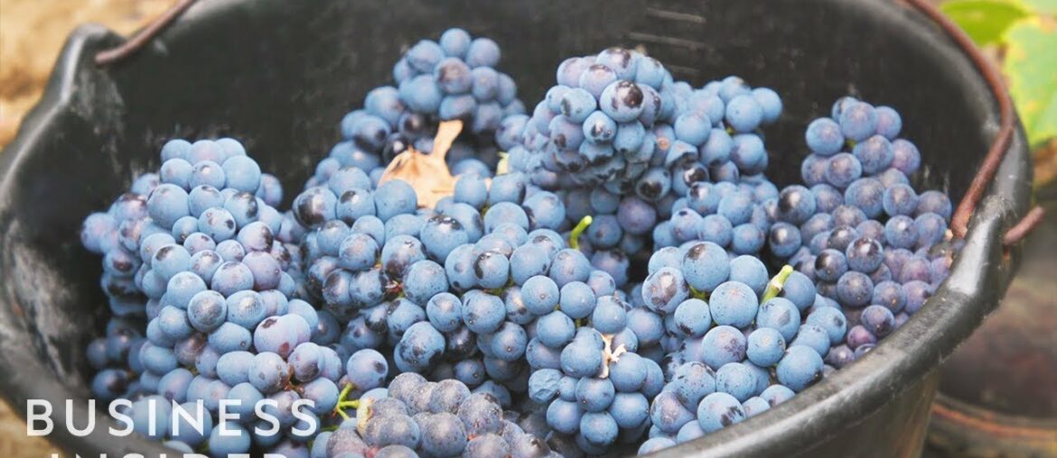 Why Champagne Is So Expensive | So Expensive Why Champagne Is So Expensive | So Expensive