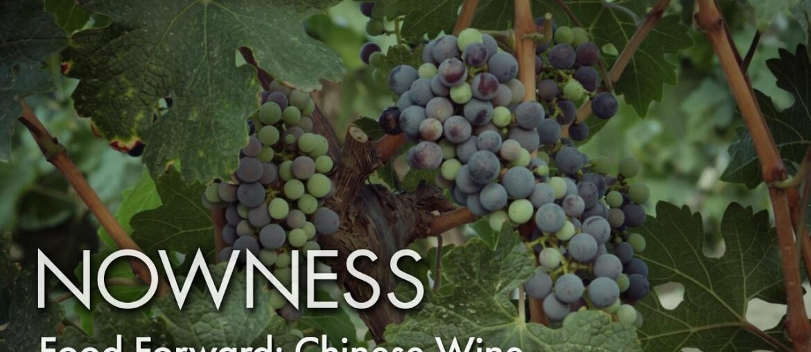 Food Forward: Chinese Wine