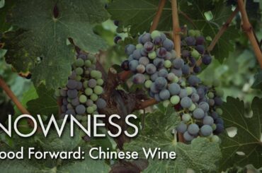 Food Forward: Chinese Wine