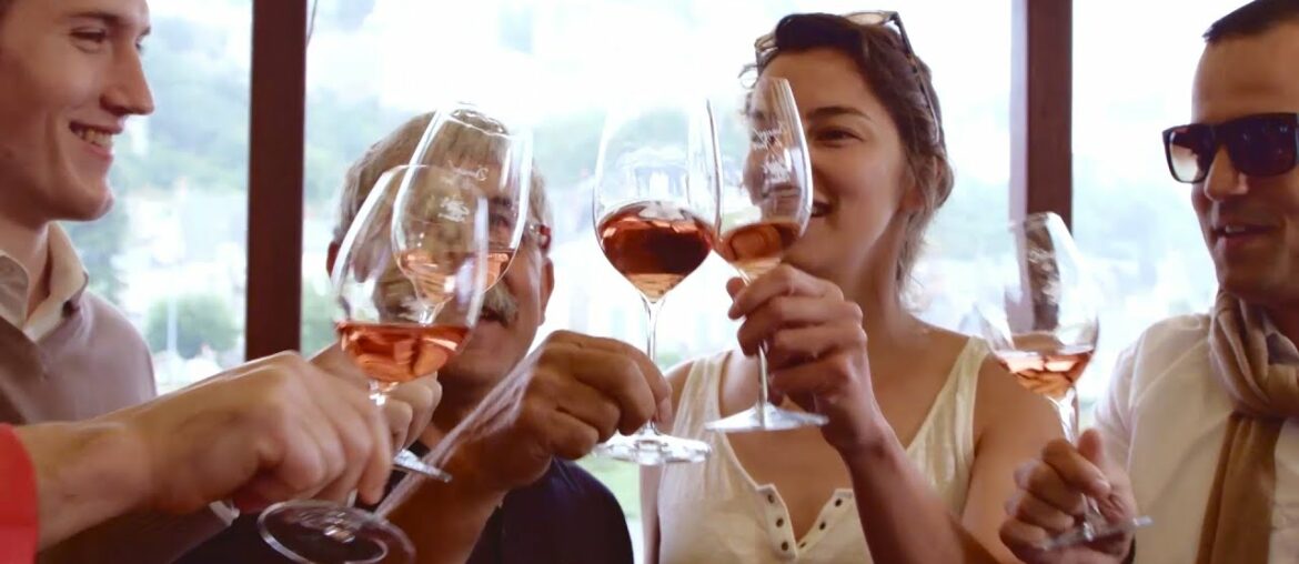 Wine trip to France 2 (short)