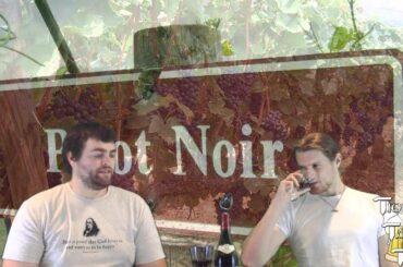 D'Autrefois Pinot Noir French Red Wine Review (Vins de Pays d'Oc, France)