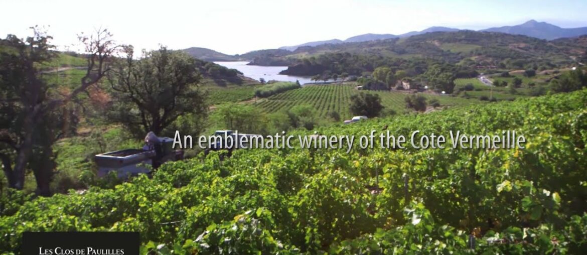 Official movie of Cazes Wine House – Rivesaltes – South of France Official movie of Cazes Wine House - Rivesaltes - South of France