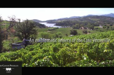 Official movie of Cazes Wine House - Rivesaltes - South of France