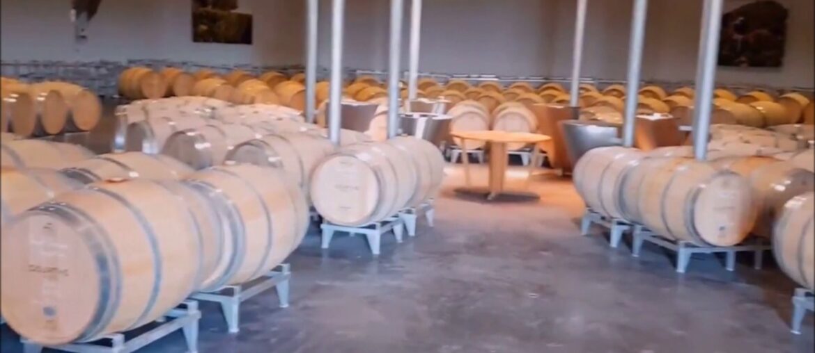 Wine Tasting in Bordeaux France Wine Tasting in Bordeaux France