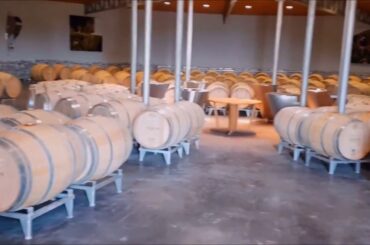 Wine Tasting in Bordeaux France