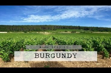 Wine Trip Part II - Burgundy, France