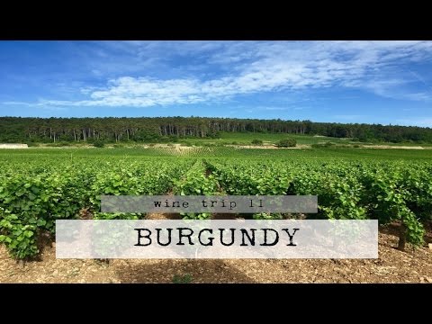 Wine Trip Part II – Burgundy, France Wine Trip Part II - Burgundy, France