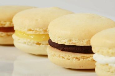 French Macarons Recipe Demonstration - Joyofbaking.com