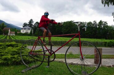 Cycling the Alsace Wine Route France