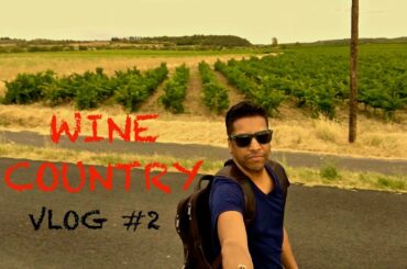 The South of France...Wine Country.