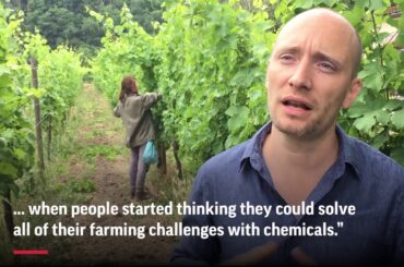 VIDEO: Using the moon's cycles in wine-making in France