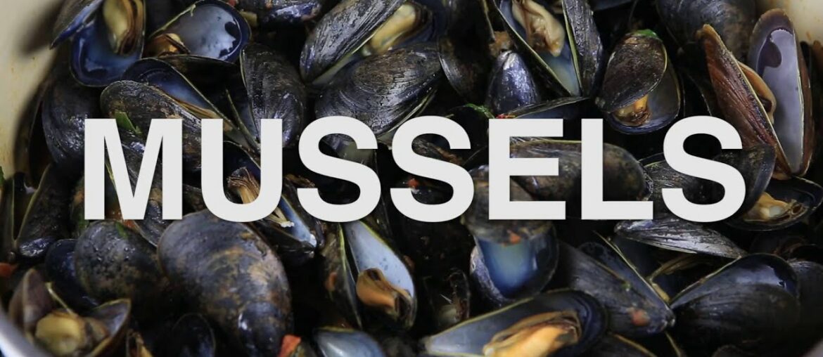 DINING | Mussels in White Wine