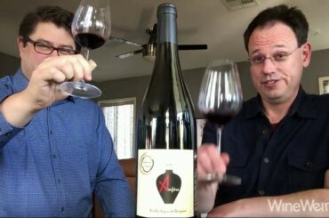 2017 Domaine Obriere Anfora Carignan Languedoc-Roussillon, France Red Wine