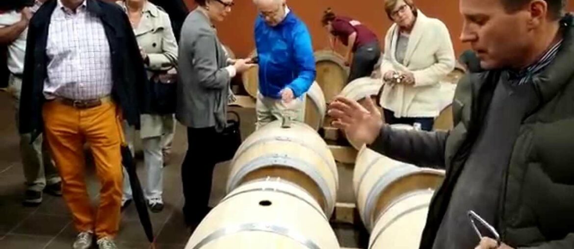 Wine Tour Bordeaux: Chateau de France in Pessac-Leognan, Graves Wine Tour Bordeaux: Chateau de France in Pessac-Leognan, Graves