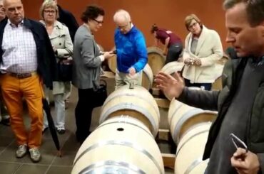 Wine Tour Bordeaux: Chateau de France in Pessac-Leognan, Graves