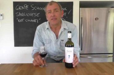 Mid-week wine - Fronton, France