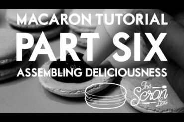 Simple French Macaron Recipe - #6 - The Scran Line