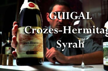 E. Guigal Crozes-Hermitage Red - Perfect Intro to Northern-Rhône Syrah Wines