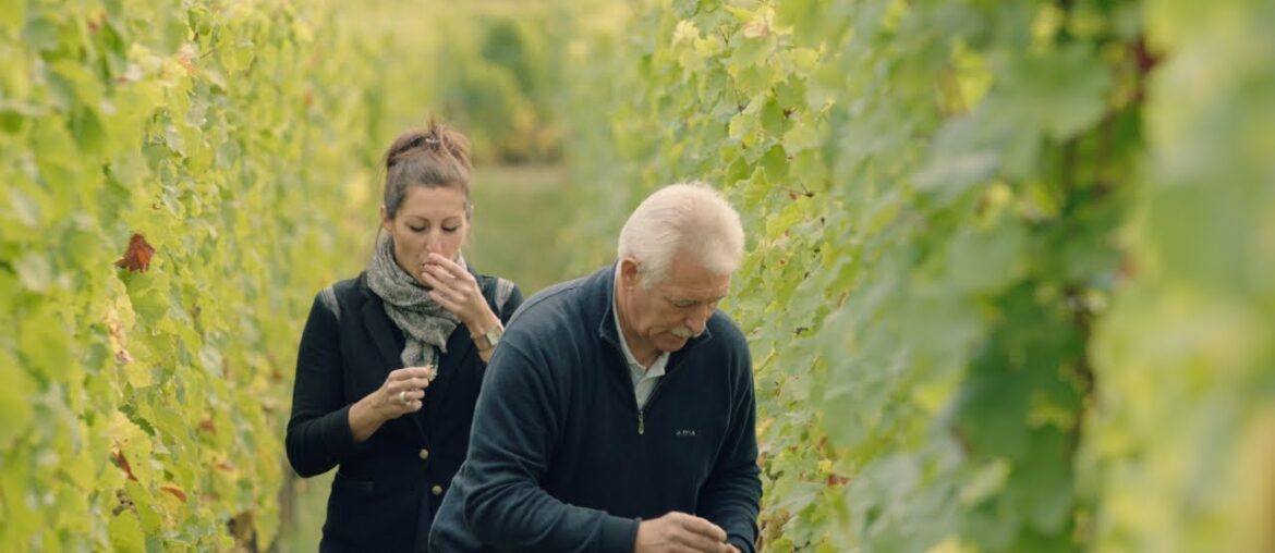 Wine Masters S1 EP5 Preview: Alsace