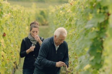 Wine Masters S1 EP5 Preview: Alsace