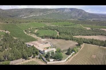 At Les Auzines, Wine Estate by Laurent Miquel in Languedoc, France