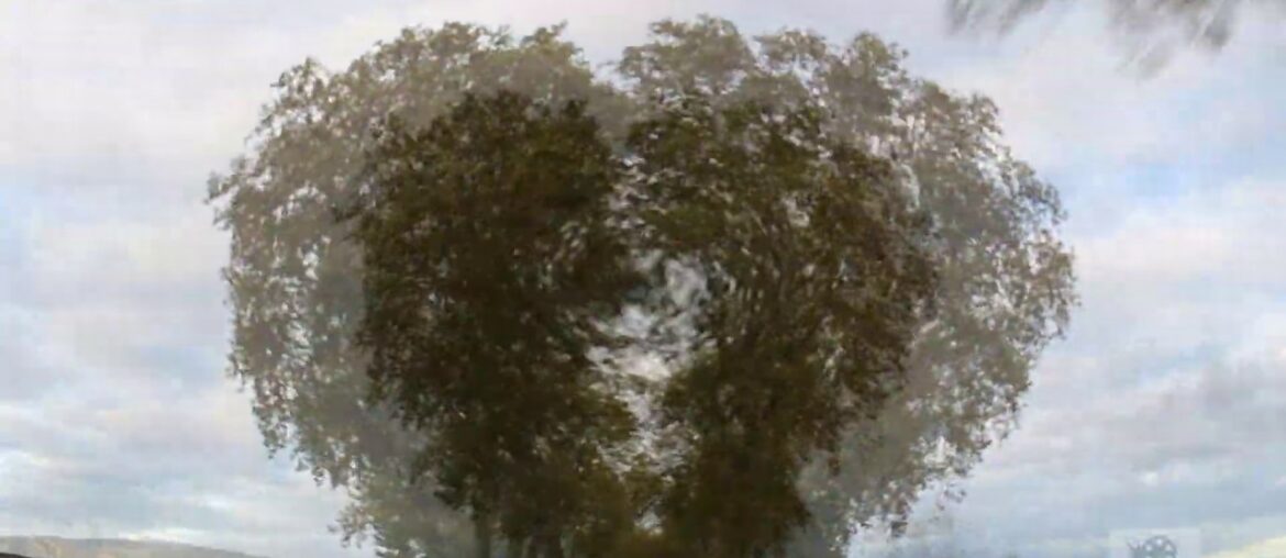 Route des Vins d'Bourgogne France I Wine Route  I Vineyard Route