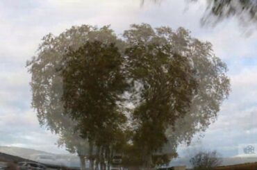 Route des Vins d'Bourgogne France I Wine Route  I Vineyard Route