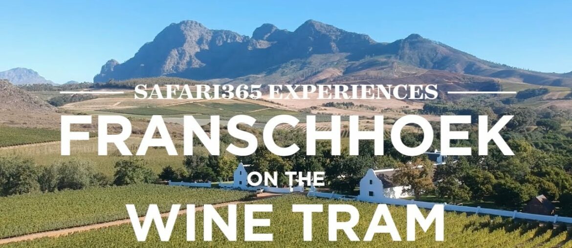 Franschhoek Wine Tram, South Africa | Safari365 Franschhoek Wine Tram, South Africa | Safari365