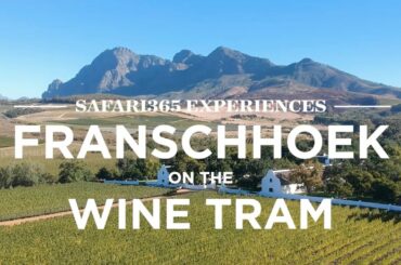 Franschhoek Wine Tram, South Africa | Safari365