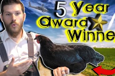 RARE Southern Crème brûlée Recipe  - ULTIMATE French Dessert 👨‍🍳