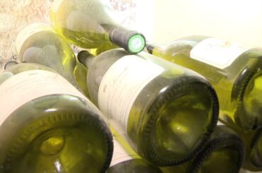 The wines of Chablis: history, terroir, appellations.