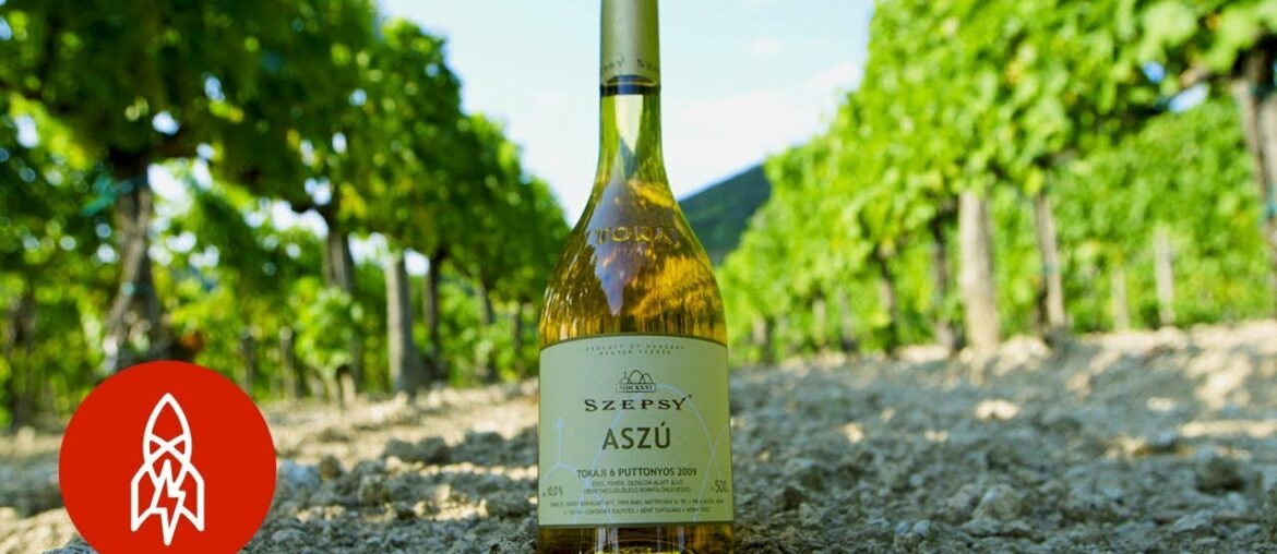 The Rotten Grapes Behind this Legendary Wine The Rotten Grapes Behind this Legendary Wine