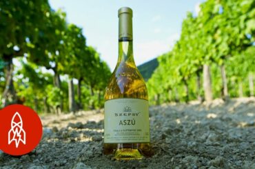 The Rotten Grapes Behind this Legendary Wine