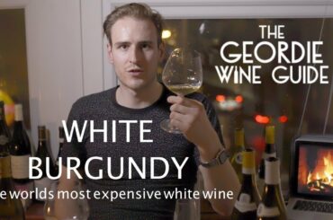 An Introduction to White Burgundy - The worlds most expensive white wine